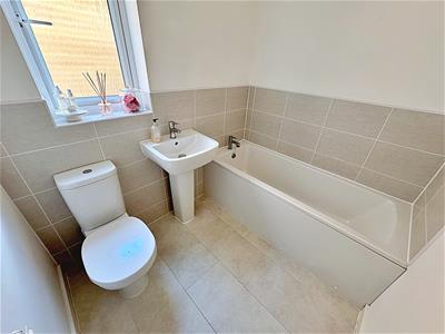 Picture 10